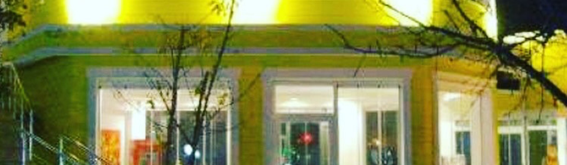 مارتی ویستا