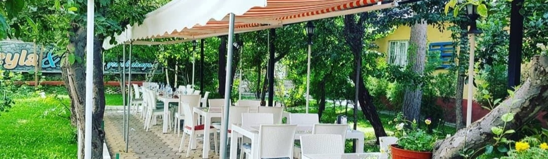 دنیای غذای لیلا