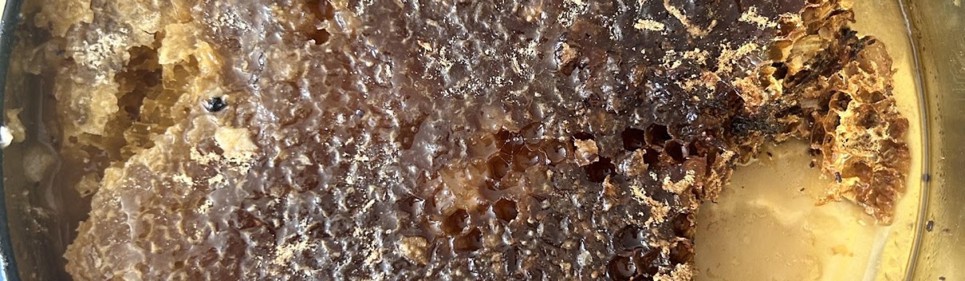 Hizan Bal Dünyası Honey Shop