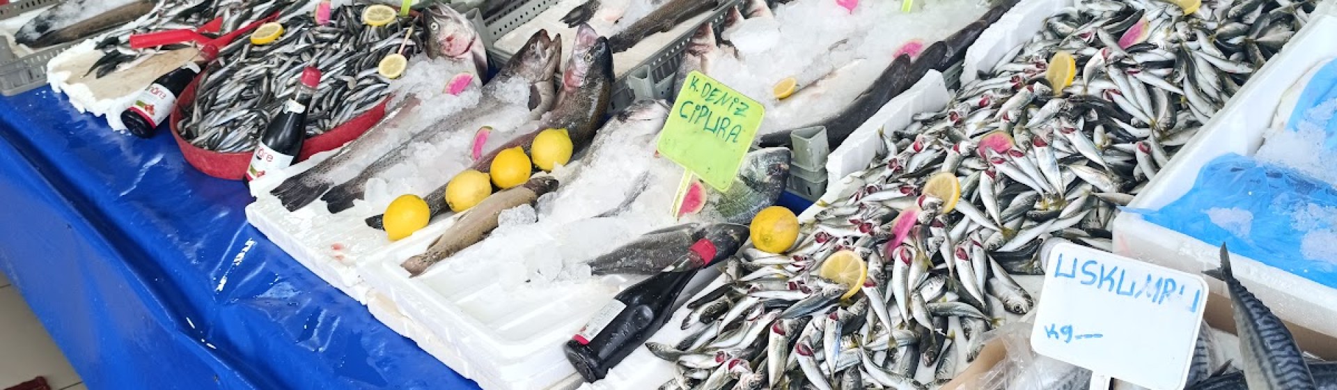 آس وان‌گولو بالیکچی‌سی
