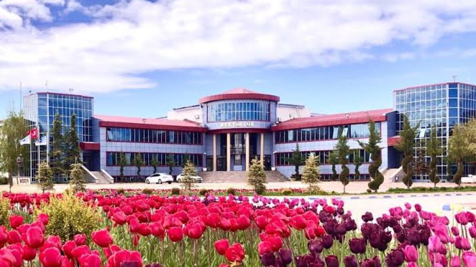 T.C. Van Yüzüncü Yıl Üniversitesi
