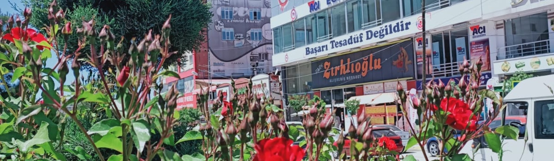 موسسات آموزشی وان آچی ال‌جی‌اس