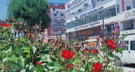 موسسات آموزشی وان آچی ال‌جی‌اس